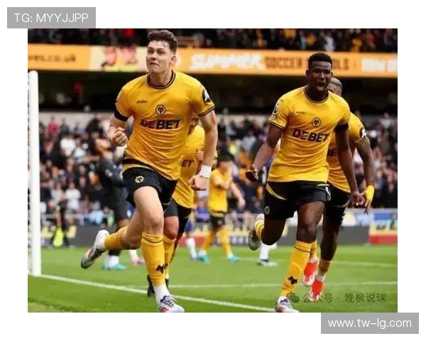 西汉姆球员遭国际足联投诉 球迷忧狼队战力 西汉姆球员遭国际足联投诉 球迷忧狼队战力